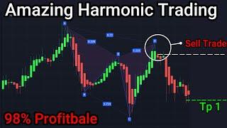 Harmonic Pattern Trading Strategy Gives us the Highest Probability for Success -  Step By Step Guide
