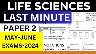 LAST MIMUTE: LIFE SCIENCES PAPER 2 GRADE 12 2024 MAY-JUNE EXAMS BY M SAIDI