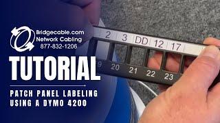 Label Network Patch Panel Cabling using a Dymo 4200 Maker | BridgeCable.com | How to Guide Intro