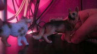 Schleich Dog Pack EP 2 'Our Territory'