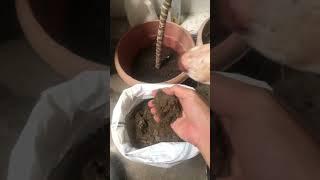 Organic Garden Soil/Loam Soil bought online