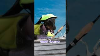 Buttercup sings her favorite fishing song #starboxdachshunds #youtubecreators #youtubehighfive