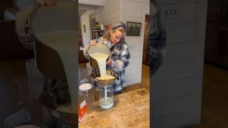 Daily Raw Milk Harvest - How I Filter Our A2A2 Cows’ Milk