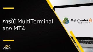 ฟอเร็กซ์ | วิธีการใช้ MultiTerminal ของ MT4 | ฟอเร็กซ์ Exness