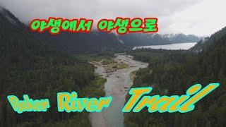 Baker Mt/Baker lake/Baker river trail/베이커 산/베이커 호수/베이커 강 하이킹/미국/워싱턴주