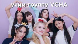 учим группу VCHA/учимся различать VCHA | vetmifi