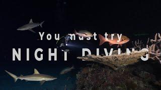 Why you must try NIGHT DIVING!