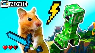 Hamster survival in Minecraft Ep 1  Hamster vs Creeper and Zombie  Homura Ham Pets