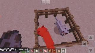 Факты о лисах в Minecraft