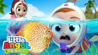 Ocean Animals Song | Fun Animal Sing Along Songs by Little Angel Animals