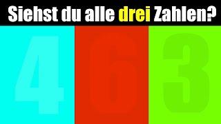 Wie gut sind deine AUGEN? (97% Scheitern diesen Test!) - AUGEN TEST