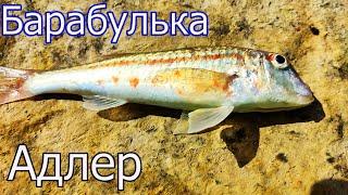 Рыбалка с Пирса, Чёрное Море, Адлер, Глубина 2,2м. Ловля БАРАБУЛЬКИ на поплавок. Подводная съёмка