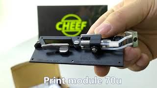 What is the Videojet 1000 series printing module?