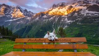 The essence of swiss mountain spring - Hiking in Lauterbrunnen valley 4K