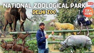 Delhi Zoo Full Tour & Guide | National Zoological Park Delhi | Delhi's Chidiya Ghar | VlogsWithSans