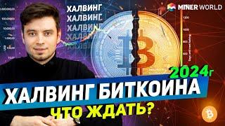 ХАЛВИНГ 2024 ГОДА -  ЧТО ЖДЁТ МАЙНЕРОВ? Пора уже готовиться...