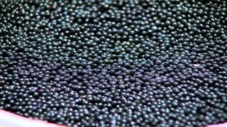 Welcome to the world of Carelian Caviar