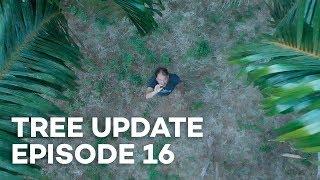 Tree Update Episode 16