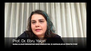 Sokaktaki bir Hayvana Nasıl Yardım Edebiliriz? — Prof. Dr. Ebru Yalçın