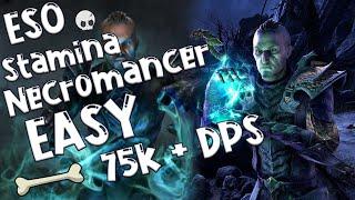 EASY Stamina Necromancer Build for ESO! (Elder Scrolls Online)