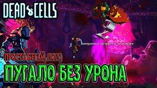 Минусы нового маршрута / Лайтовое Пугало без урона / 5BC / Dead Cells Fatal Falls прохождение