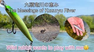 九頭竜川の恵み(The blessings of the Kuzuryu River)