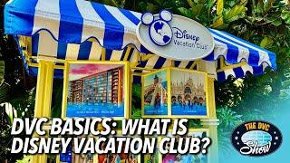 DVC Basics: What Is Disney Vacation Club?