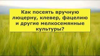 19. Как посеять вручную люцерну, клевер, фацелию и другие мелкосемянные культуры?