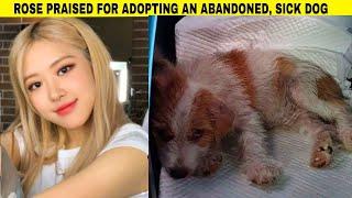 ROSE(Blackpink) Is Praised for Adopting an Abandoned, Sick Dog
