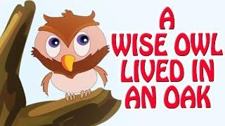 A Wise Owl Lived In An Oak | Animated Nursery Rhyme in English