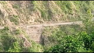 Tiger  in Our Village | Pauri Garhwal | Uttrakhand