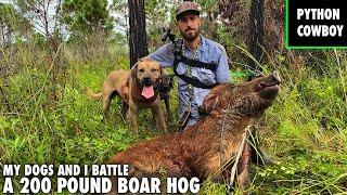 The Hunt For Red October The Stud Boar Hog