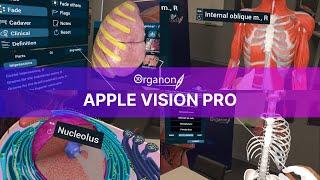 The 3D Organon platform on Apple Vision Pro