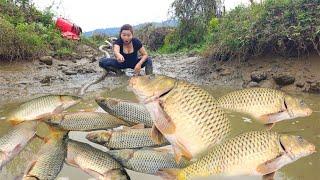 Catch fish/Use a pump to suck water out of deep pools to catch large schools of fish