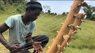 Bow Harp (Adungu) Music Near Lake Victoria