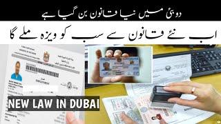 UAE Visa Ban New Update 2024 || UAE Work Visa Latest Update 2024 || Dubai Wok Visa News