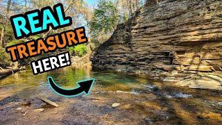 We Found Fossils, Crystals, Skulls, and MORE on this Alabama Creek Adventure!