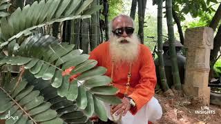 Conscious Planet Is the Requirement of the Day - Sadhguru