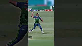 Direct Hit Run Out#cricket #psl8 #foryou #subscribe #whatsapp_status