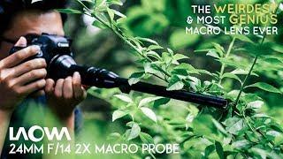 Revolutionize Macro Videography: Laowa 24mm f/14 Probe Lens