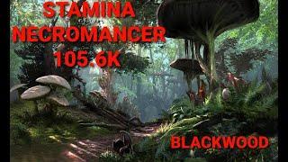 Stamina Necromancer - 105.6k - Blackwood - ESO - Elder Scrolls Online - PVE Builds - Xbox NA