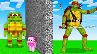 I Cheated With NINJA TURTLES In Minecraft Build Battle!