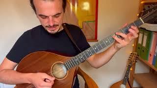 Irish Bouzouki Lesson - The Foggy Dew Part 1