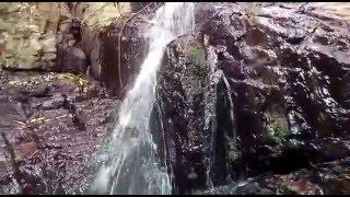 Ayyanar falls  | Natham falls near Natham