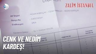 DNA Testi Ceren'in ELİNDE! - Zalim İstanbul 34. Bölüm