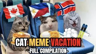 Cat MEMES: CAT MEME VACATION FULL COMPILATION