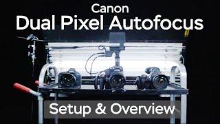 Canon Dual Pixel Autofocus - Setup and Overview - MagRents.com