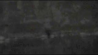 Bigfoot Manifests as Shadow Person