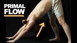 Release Tight Hips & Shoulders - Do This PRIMAL FLOW (30 Seconds)