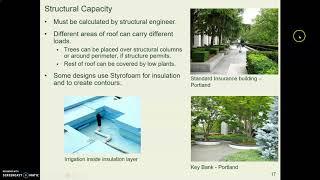 SBS29c green roofs   components & design VL